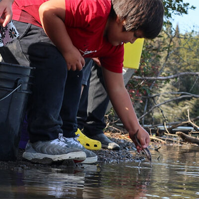Student releases a sturgeon