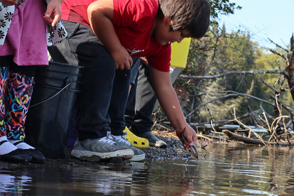 Student releases a sturgeon